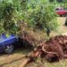 Un posible tornado azotó Montecarlo