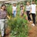 Posadas impulsa el turismo agroecológico y la cultura con una kermes
