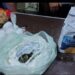 Intentaron ingresar marihuana oculta en harina a una comisaría de Posadas