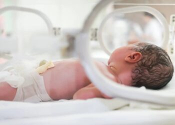 Actividades por la Semana del Prematuro en Misiones