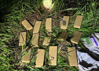 Agentes antinarcóticos secuestraron droga valuada en casi 13 millones de pesos