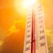 Recomiendan extremar cuidados para evitar incendios ante las altas temperaturas
