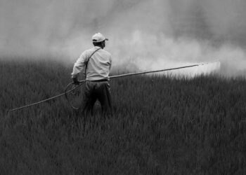 Las presiones de Monsanto en defensa del glifosato y contra la elaboración de bioinsumos no tiene ni tendrá límites éticos