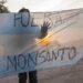 Modelo agrotóxico, glifosato y los que no la quieren ver