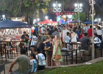 Transformarán la zona céntrica posadeña en un polo comercial, cultural y festivo