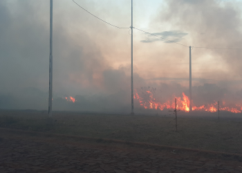 Recomendaciones para prevenir incendios durante la temporada de altas temperaturas