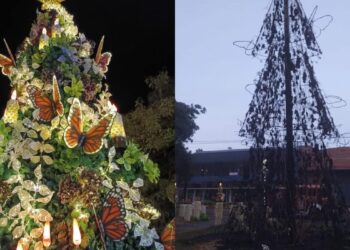 Se incendió el árbol navideño de la plaza central de Capioví