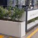 Comercios de Oberá comenzaron a instalar parklet
