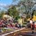 Misiones vibrará con talleres, ferias y exposiciones este fin de semana