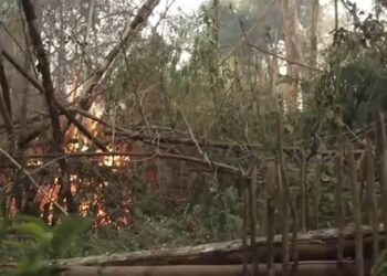 La prevención de incendios forestales en Misiones es responsabilidad de todos
