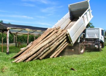 Escuela mbya recibió una donación de maderas nativas Donan madera nativa secuestrada en un operativo de Ecología