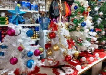 Mantienen vigentes programas Ahora que facilitan las compras familiares  de fin de año