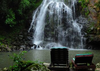 Misiones, un destino de preferencia