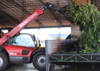 Impulsan acuerdos en el sector yerbatero para estabilizar precios