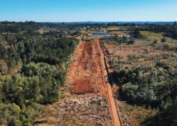 Energía de Misiones trabaja en el despeje de mas de160 km de líneas troncales