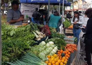 Las ofertas sostuvieron las ventas en las ferias francas de Posadas