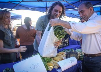 Destacan que el presente y futuro de Misiones está en la producción de alimentos