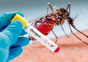 Misiones registra nuevos casos de dengue y también de botulismo