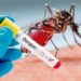 Misiones registra nuevos casos de dengue y también de botulismo