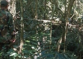 Patrulla de guardaparques destruyó trampas de cazadores en el Parque Puerto Península