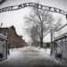 Conmemoraron el 80° aniversario de la liberación de Auschwitz