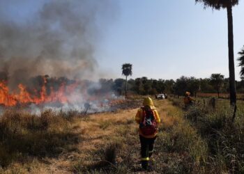 Incendios: “En Misiones ocurren por descuidos o son intencionales”