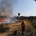 Incendios: “En Misiones ocurren por descuidos o son intencionales”