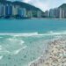 Norovirus sería la causa de gastroenterocolitis en playas de Brasil