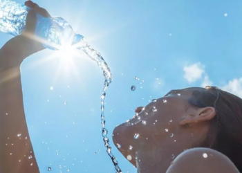 Una nueva ola de calor llegó a Misiones