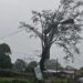 Fuerte tormenta en Alem provocó daños y anegamientos
