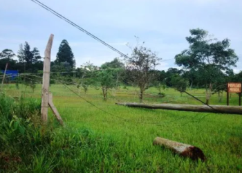 Fuerte vendaval tumbó 20 postes de la línea de 33 kV que alimenta a 25 de Mayo