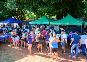 Un promedio de 100 chicos reciben el apto físico en los CAPS de Posadas