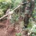 Capturaron a un cazador furtivo en el Parque Salto Encantado