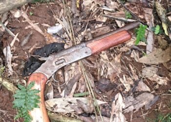 Decomisaron el arma y la moto de un cazador al que detectaron mientras acechaba animales en Yabotí