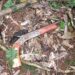 Decomisaron el arma y la moto de un cazador al que detectaron mientras acechaba animales en Yabotí