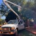 Energía de Misiones reforzó el alumbrado público en Candelaria