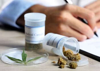 Mesa Provincial Interinstitucional de Abordaje del Cannabis solicitó audiencia con el Gobernador