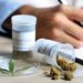 Mesa Provincial Interinstitucional de Abordaje del Cannabis solicitó audiencia con el Gobernador