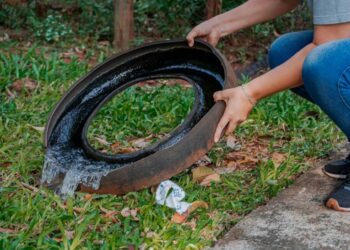 Sigue la prevención del dengue en Posadas