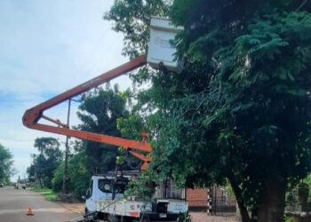 Despeje y mantenimiento de líneas en barrios de Puerto Iguazú