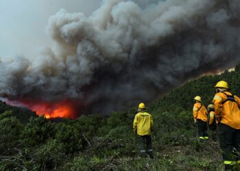 Nuevo incendio en el Cerro Meta dentro del Parque Nacional Nahuel Huapi