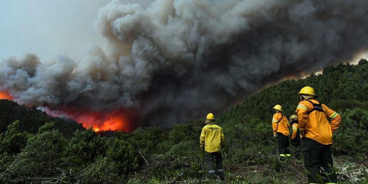 Fire brigades look at the forest during fires in Bariloche, Argentina December 29, 2021. REUTERS/Marcelo Martinez NO RESALES. NO ARCHIVES