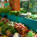 Productores de la Feria Franca a la Subsecretaría de Prevención
