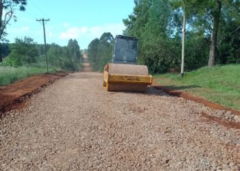 Mejoramiento de caminos en rutas productivas de Misiones