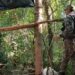 Policías ambientales desmantelaron dos campamentos ilegales de caza furtiva