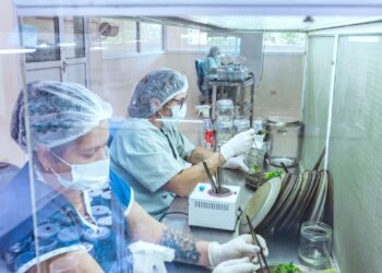 Misiones será sede del mayor encuentro de biotecnología del país