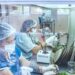 Misiones será sede del mayor encuentro de biotecnología del país