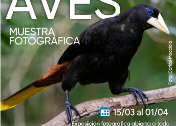 Muestra fotográfica itinerante de aves en Misiones