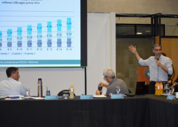 Presentaron los beneficios que traerá a Misiones el Programa Provincial de Créditos de Carbono