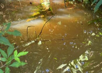 Agricultores de Gobernador Roca no tienen agua potable